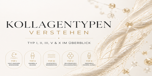 Kollagentypen im Detail: Warum nicht jedes Kollagen gleich wirkt